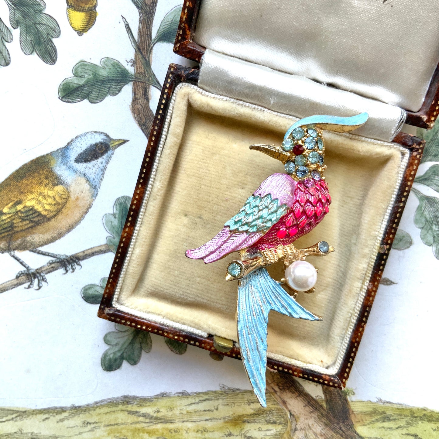 VINTAGE 1960s Colourful Enamel Parrot Bird on Branch Brooch
