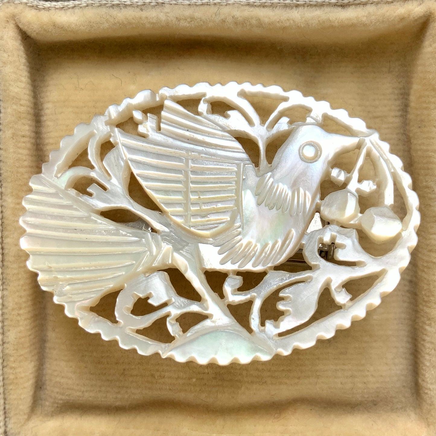 VINTAGE 1960s Bethlehem Mother of Pearl Carved Dove Bird Oval Brooch