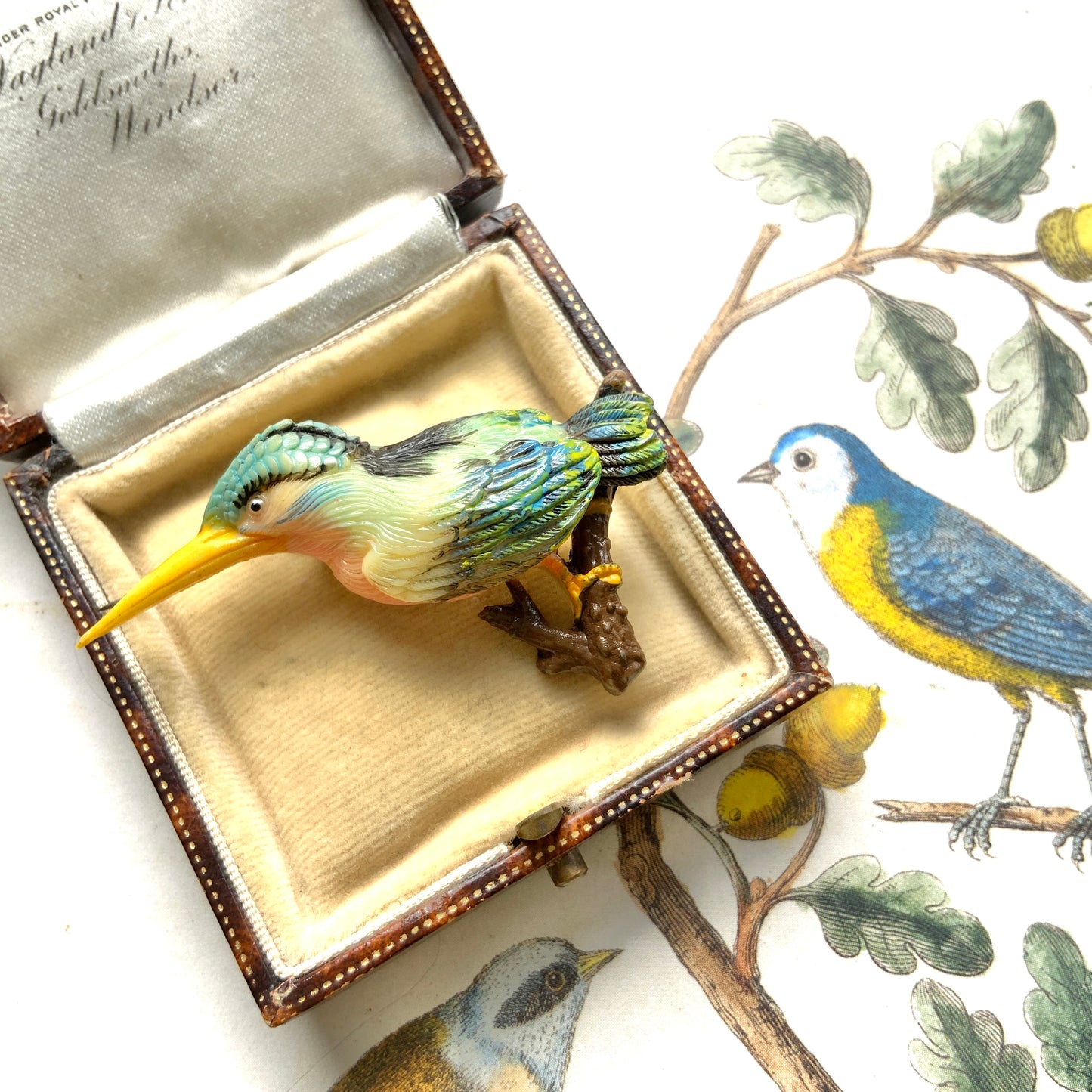 VINTAGE 1930s Colourful Celluloid Kingfisher Brooch