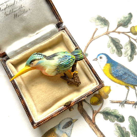 VINTAGE 1930s Colourful Celluloid Kingfisher Brooch