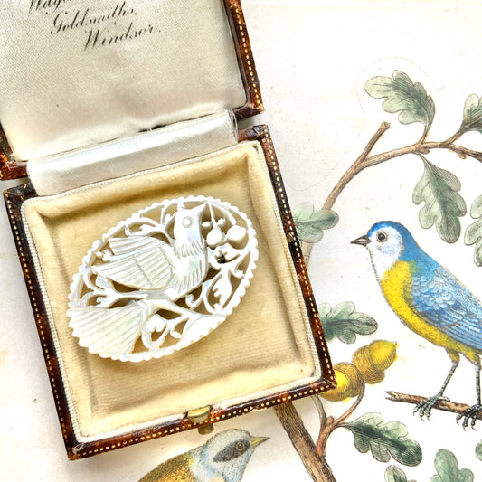 VINTAGE 1960s Bethlehem Mother of Pearl Carved Dove Bird Oval Brooch