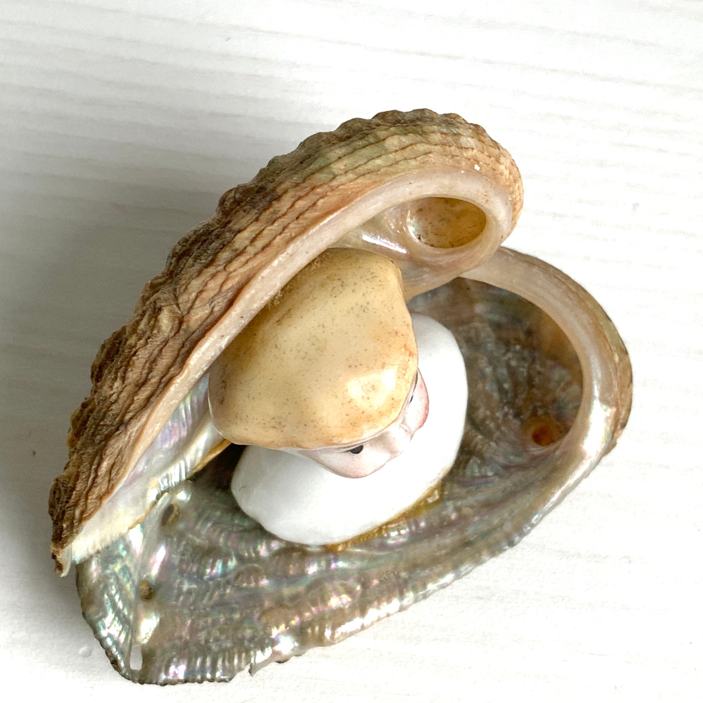 An antique doll head object from the 1900s–20s, sourced in France. 1900〜20年代頃の、フランスからやってきたアンティークドールヘッドのオブジェ。