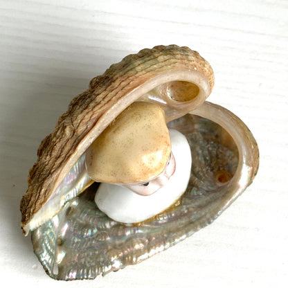 An antique doll head object from the 1900s–20s, sourced in France. 1900〜20年代頃の、フランスからやってきたアンティークドールヘッドのオブジェ。