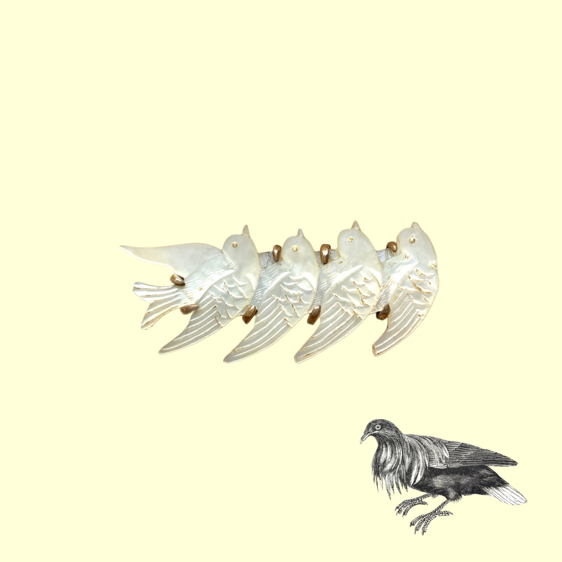 A brooch carved from mother of pearl, depicting a group of small birds. マザーオブパールに彫り出された小さな鳥たちのブローチ。