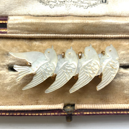 A brooch carved from mother of pearl, depicting a group of small birds. マザーオブパールに彫り出された小さな鳥たちのブローチ。