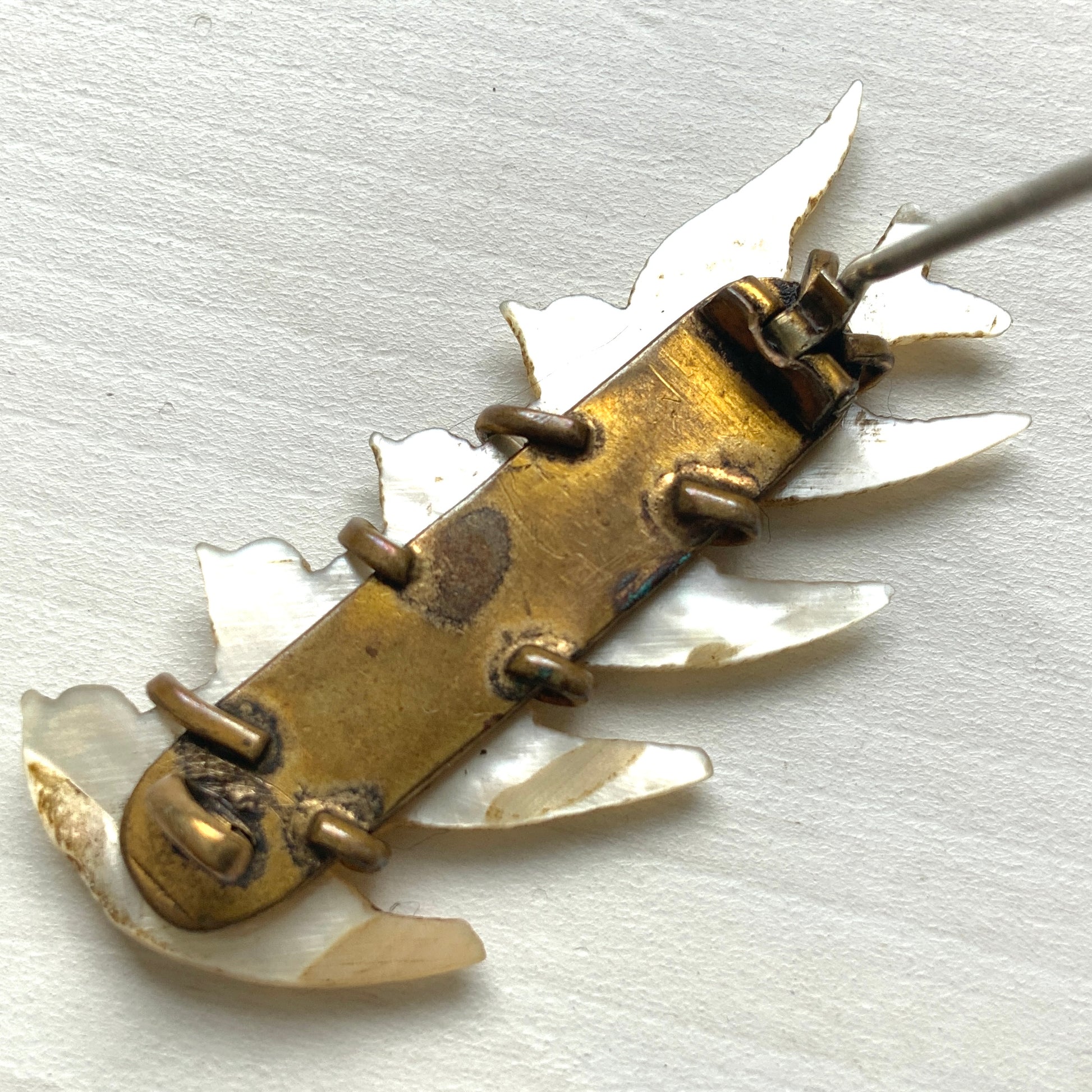 A brooch carved from mother of pearl, depicting a group of small birds. マザーオブパールに彫り出された小さな鳥たちのブローチ。