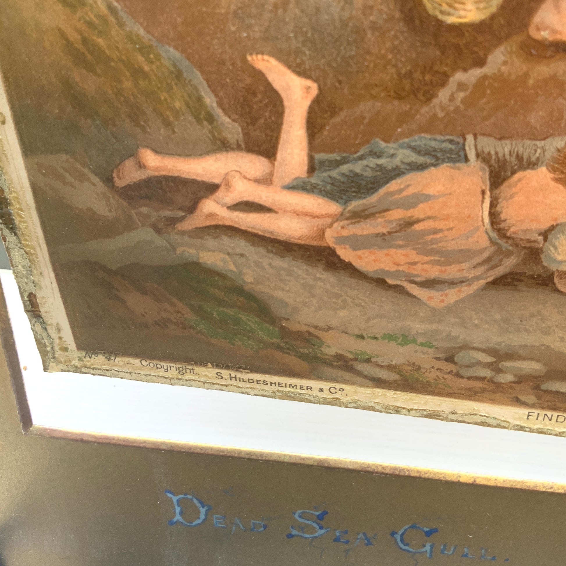 A late Victorian antique print of “The Dead Sea Gull” by Myles Birket Foster. ヴィクトリアン後期頃のマイルズ・バーケット・フォスターの “The Dead Sea Gull” のアンティークプリント。
