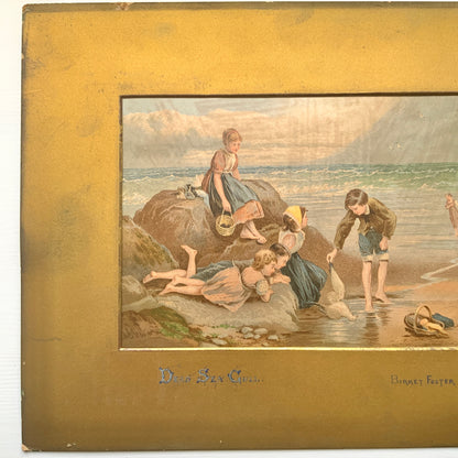 A late Victorian antique print of “The Dead Sea Gull” by Myles Birket Foster. ヴィクトリアン後期頃のマイルズ・バーケット・フォスターの “The Dead Sea Gull” のアンティークプリント。