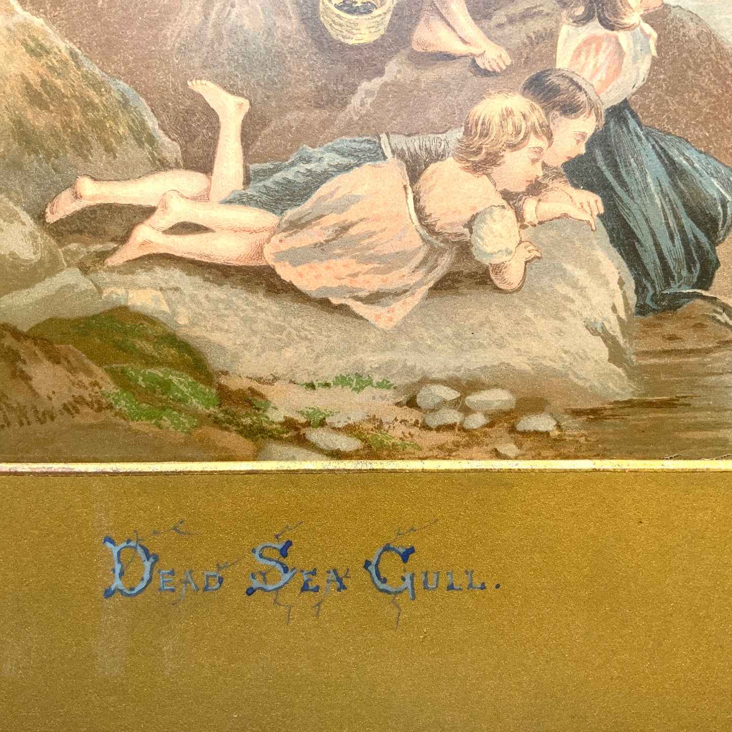 A late Victorian antique print of “The Dead Sea Gull” by Myles Birket Foster. ヴィクトリアン後期頃のマイルズ・バーケット・フォスターの “The Dead Sea Gull” のアンティークプリント。
