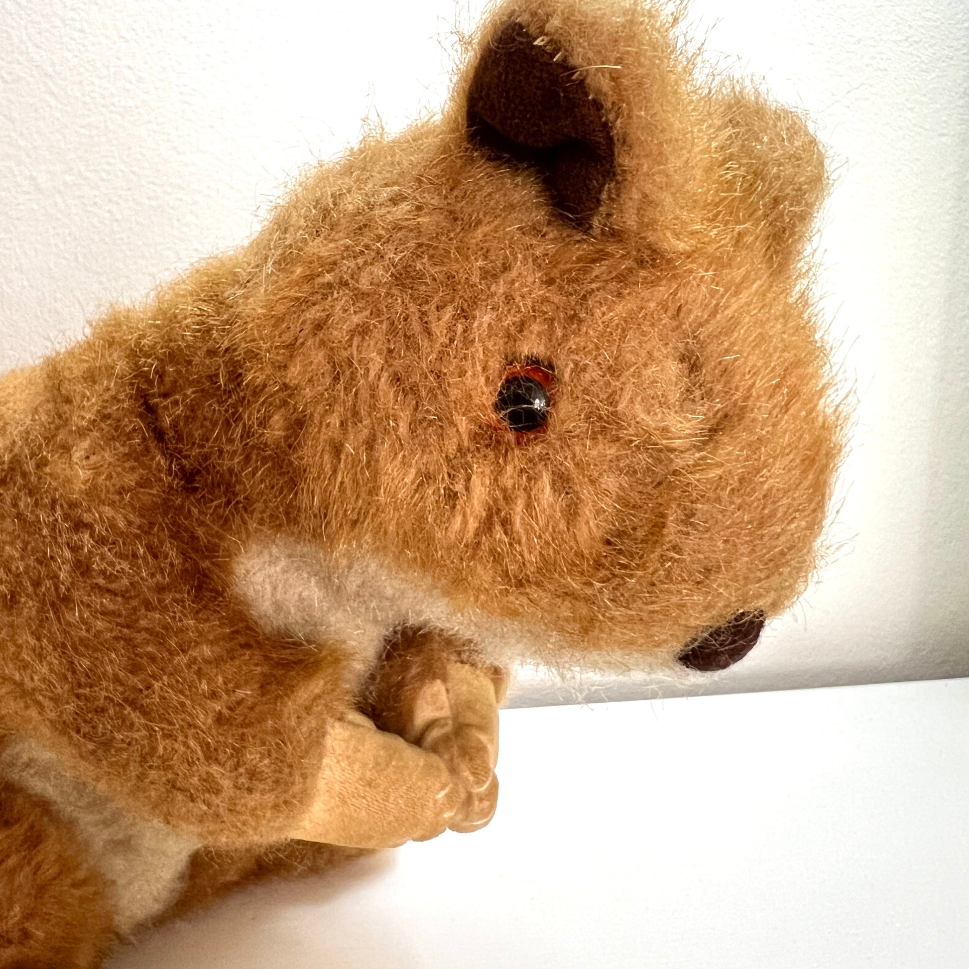 A vintage squirrel soft toy by Merrythought, England. Its plump body and curled tail give it an irresistibly charming silhouette.  英国ブランド、メリーソートのリスのぬいぐるみ。 ぽってりとしたボディとくるんとした尻尾のフォルムがかわいいです。