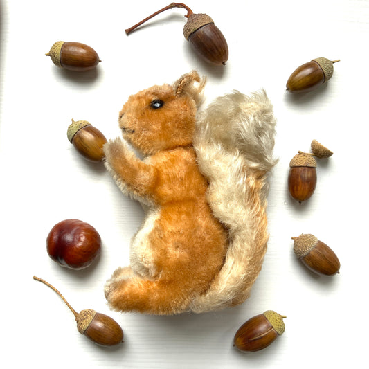 An adorable Steiff squirrel with a sweet, expressive face. とっても愛らしい表情の、シュタイフのリスのぬいぐるみ。 