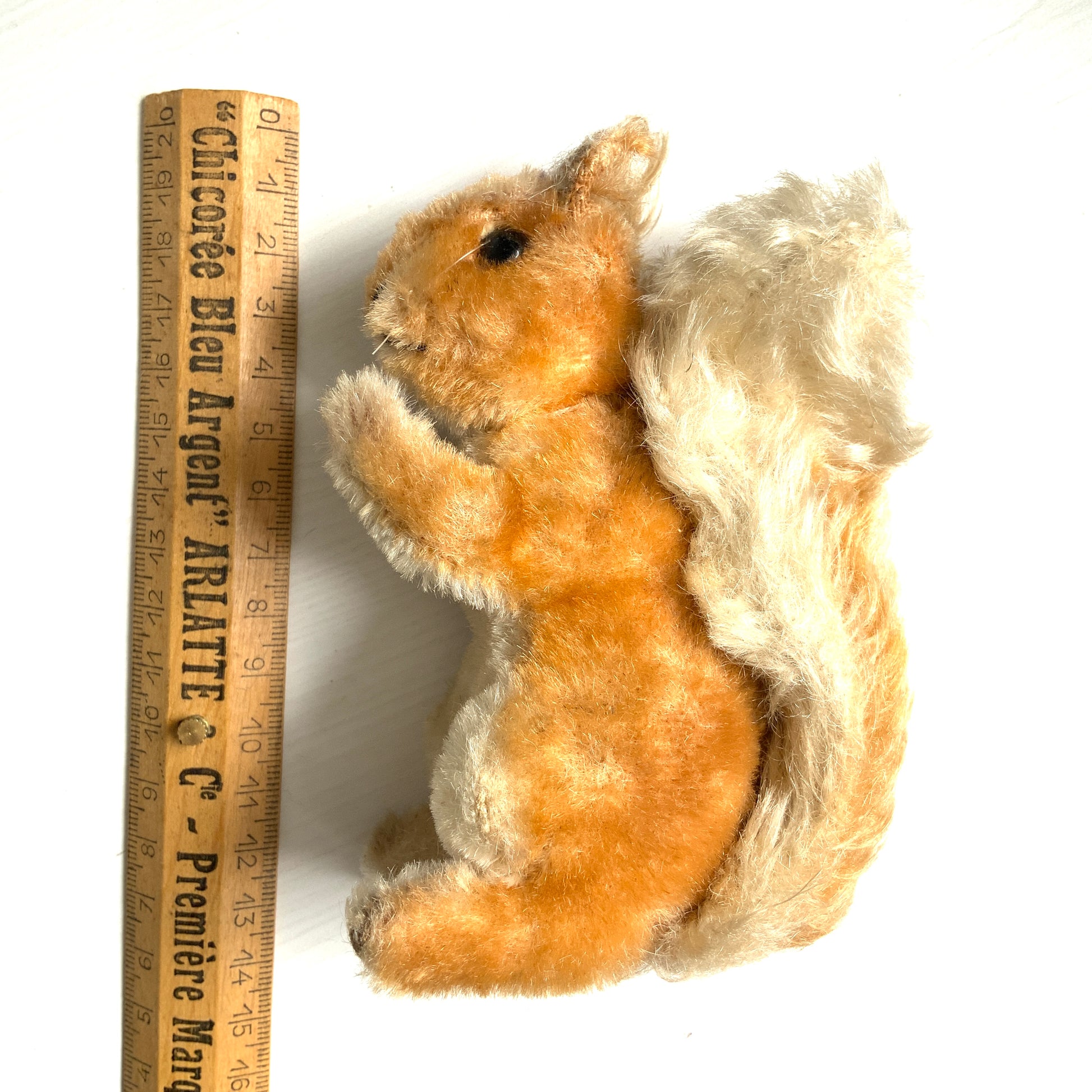 An adorable Steiff squirrel with a sweet, expressive face. とっても愛らしい表情の、シュタイフのリスのぬいぐるみ。 