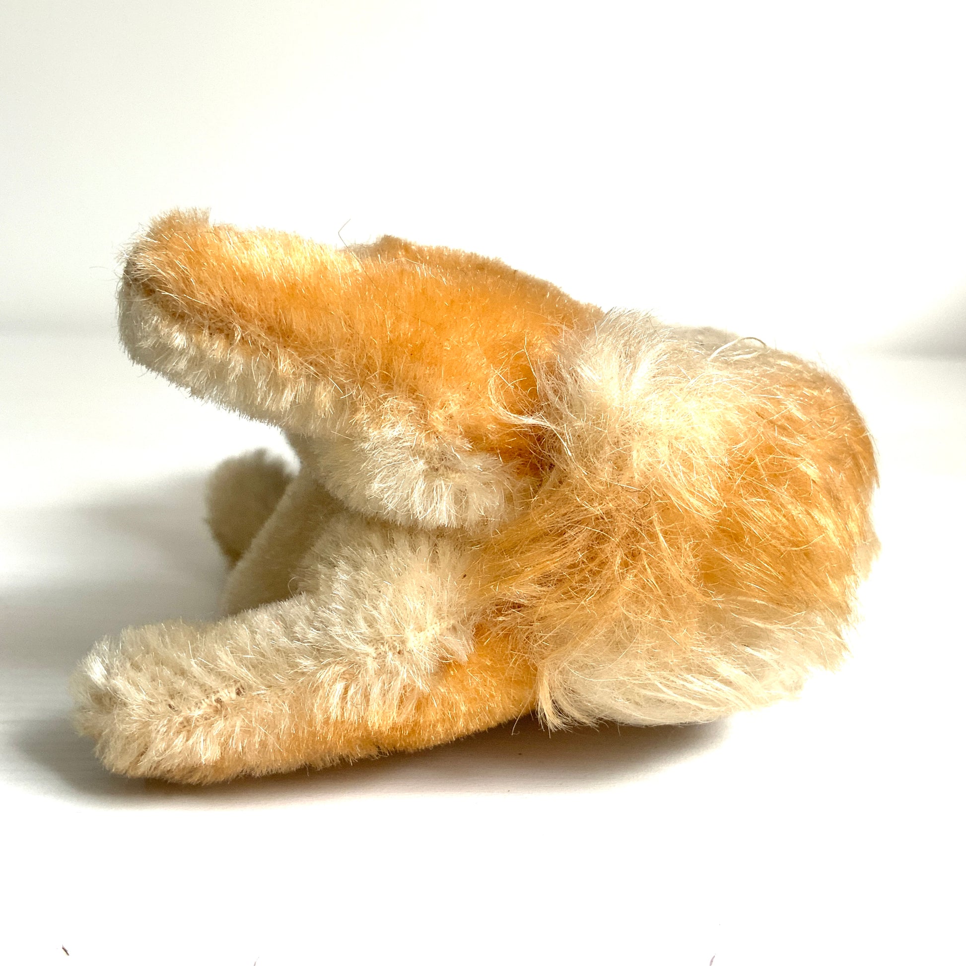 An adorable Steiff squirrel with a sweet, expressive face. とっても愛らしい表情の、シュタイフのリスのぬいぐるみ。 