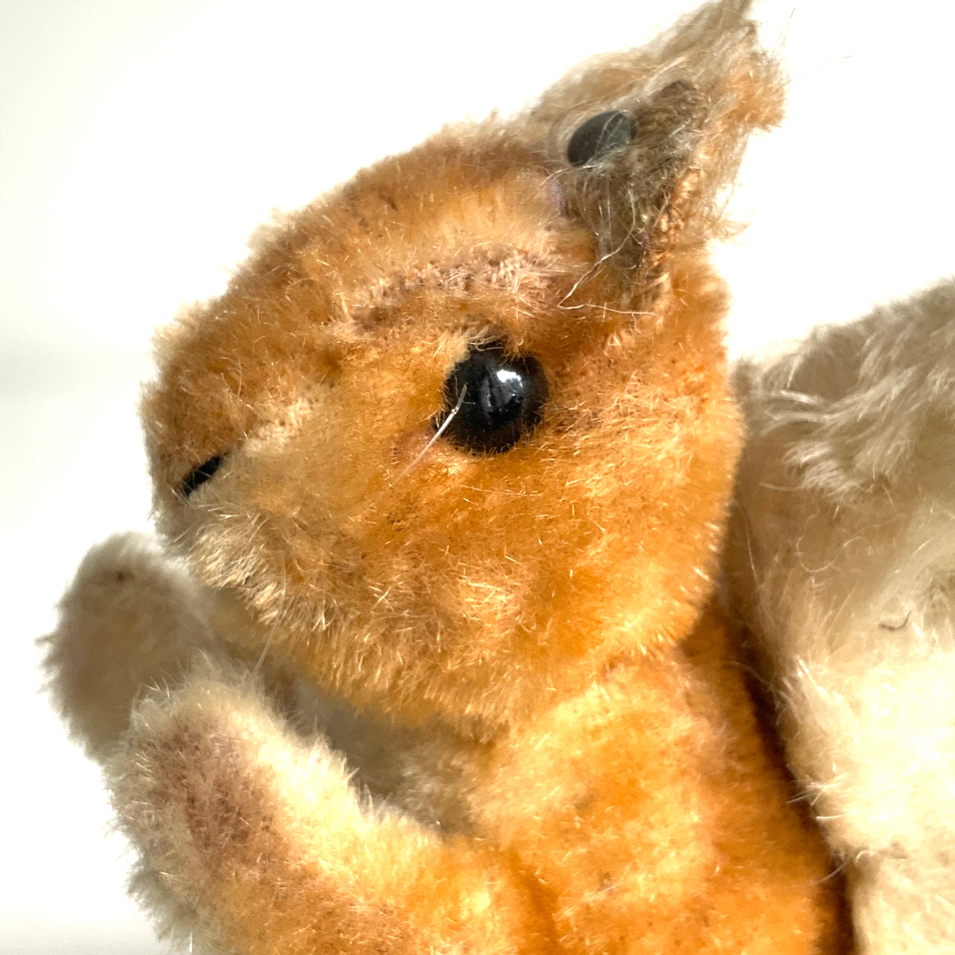 An adorable Steiff squirrel with a sweet, expressive face. とっても愛らしい表情の、シュタイフのリスのぬいぐるみ。 