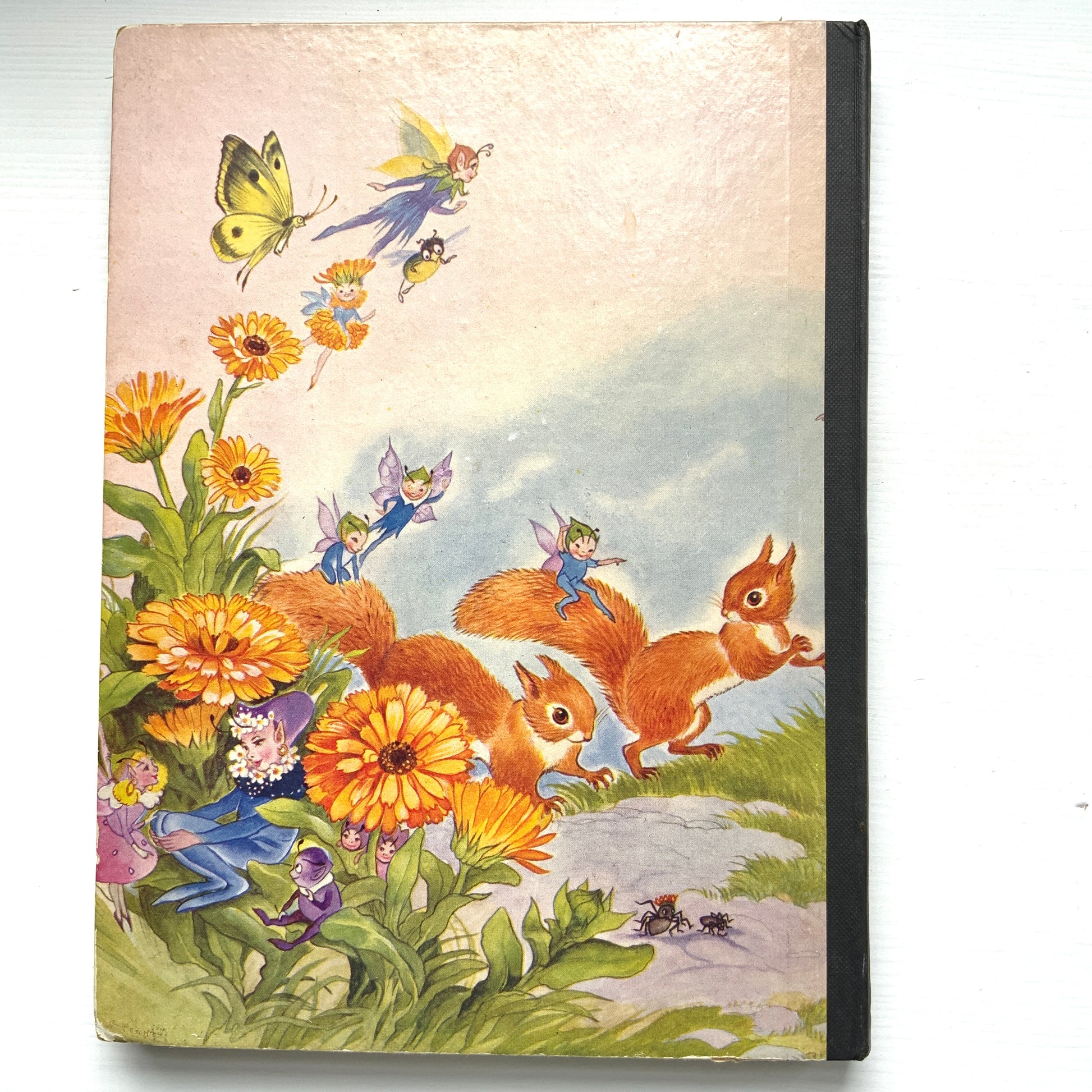A delightful collection of fairy-tale stories by Enid Blyton. イーニッド・ブライトンによるおとぎ話の短編集です。
