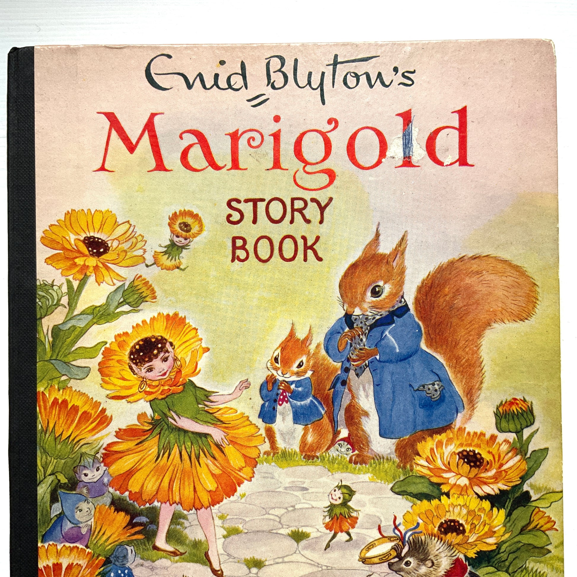 A delightful collection of fairy-tale stories by Enid Blyton. イーニッド・ブライトンによるおとぎ話の短編集です。