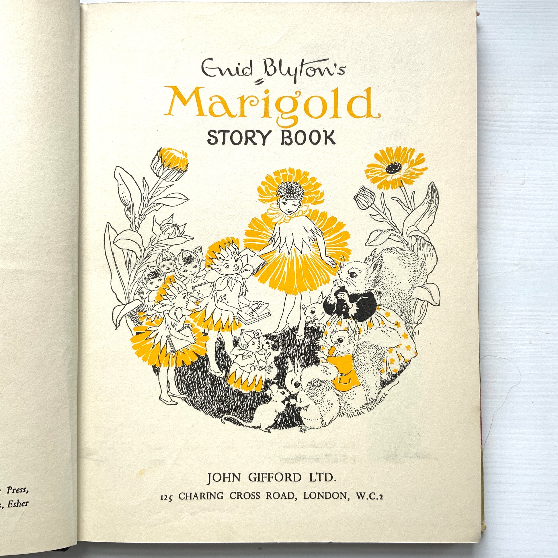 A delightful collection of fairy-tale stories by Enid Blyton. イーニッド・ブライトンによるおとぎ話の短編集です。