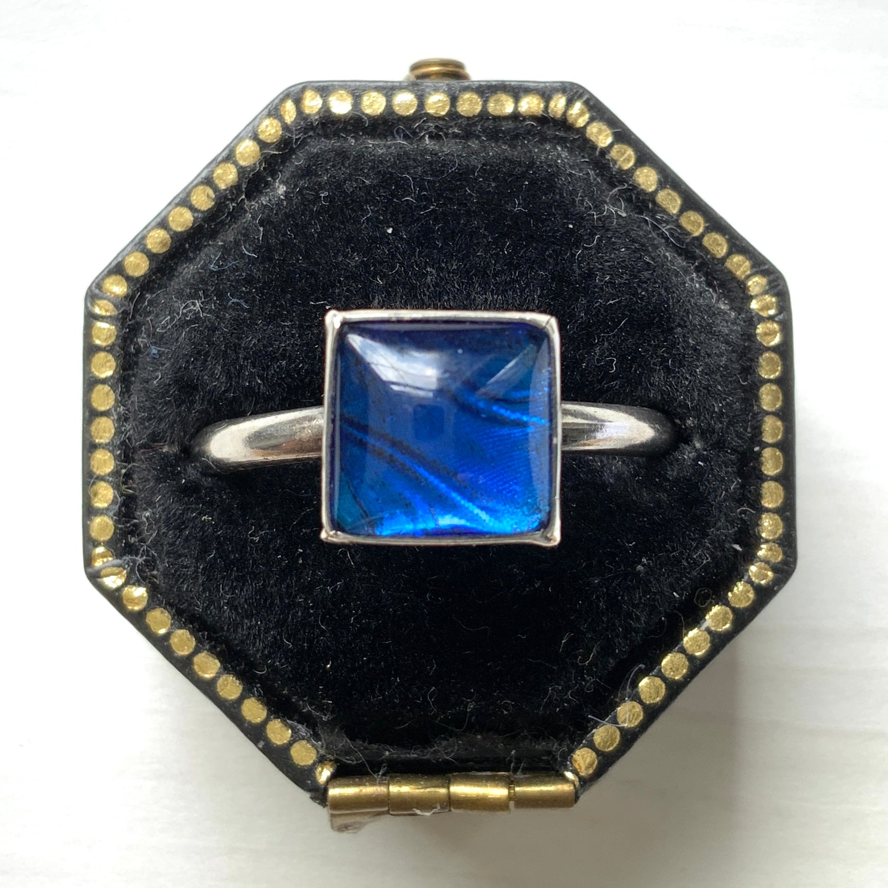 A silver ring featuring the beautiful wing of a Morpho butterfly. 美しいモルフォ蝶の羽を使ったバタフライウィングのシルバーリング。 