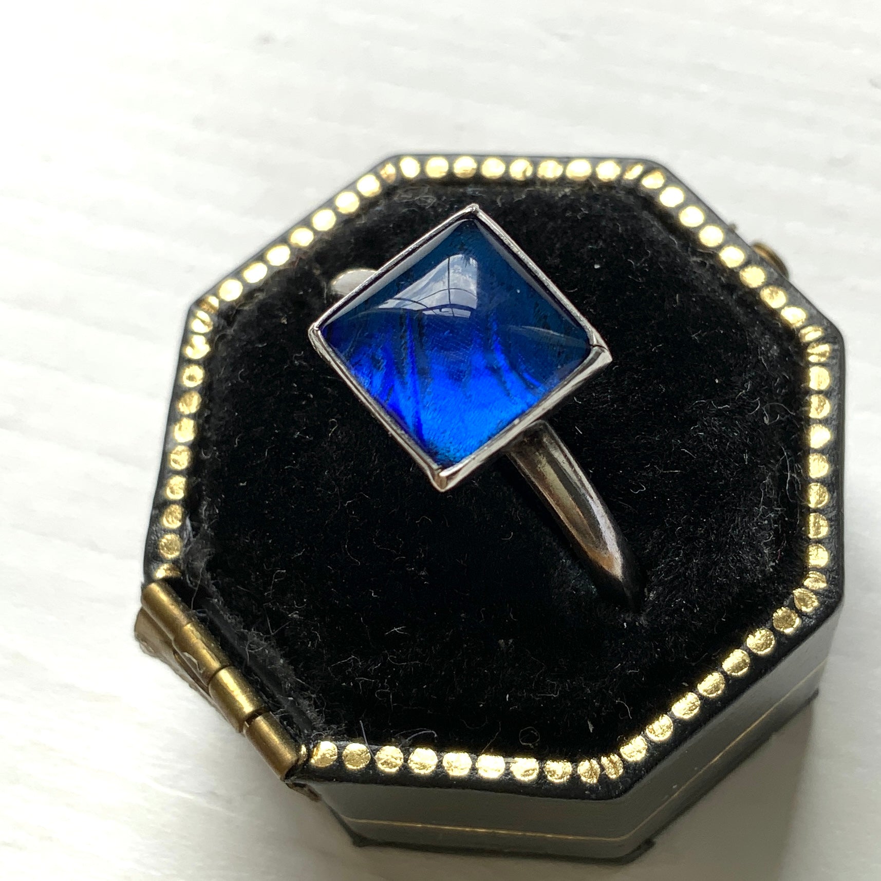 A silver ring featuring the beautiful wing of a Morpho butterfly. 美しいモルフォ蝶の羽を使ったバタフライウィングのシルバーリング。 