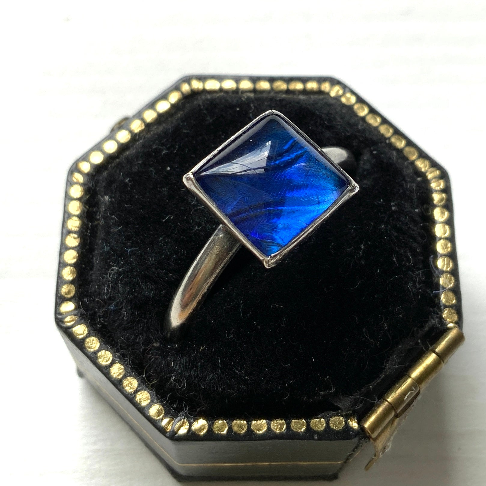 A silver ring featuring the beautiful wing of a Morpho butterfly. 美しいモルフォ蝶の羽を使ったバタフライウィングのシルバーリング。 