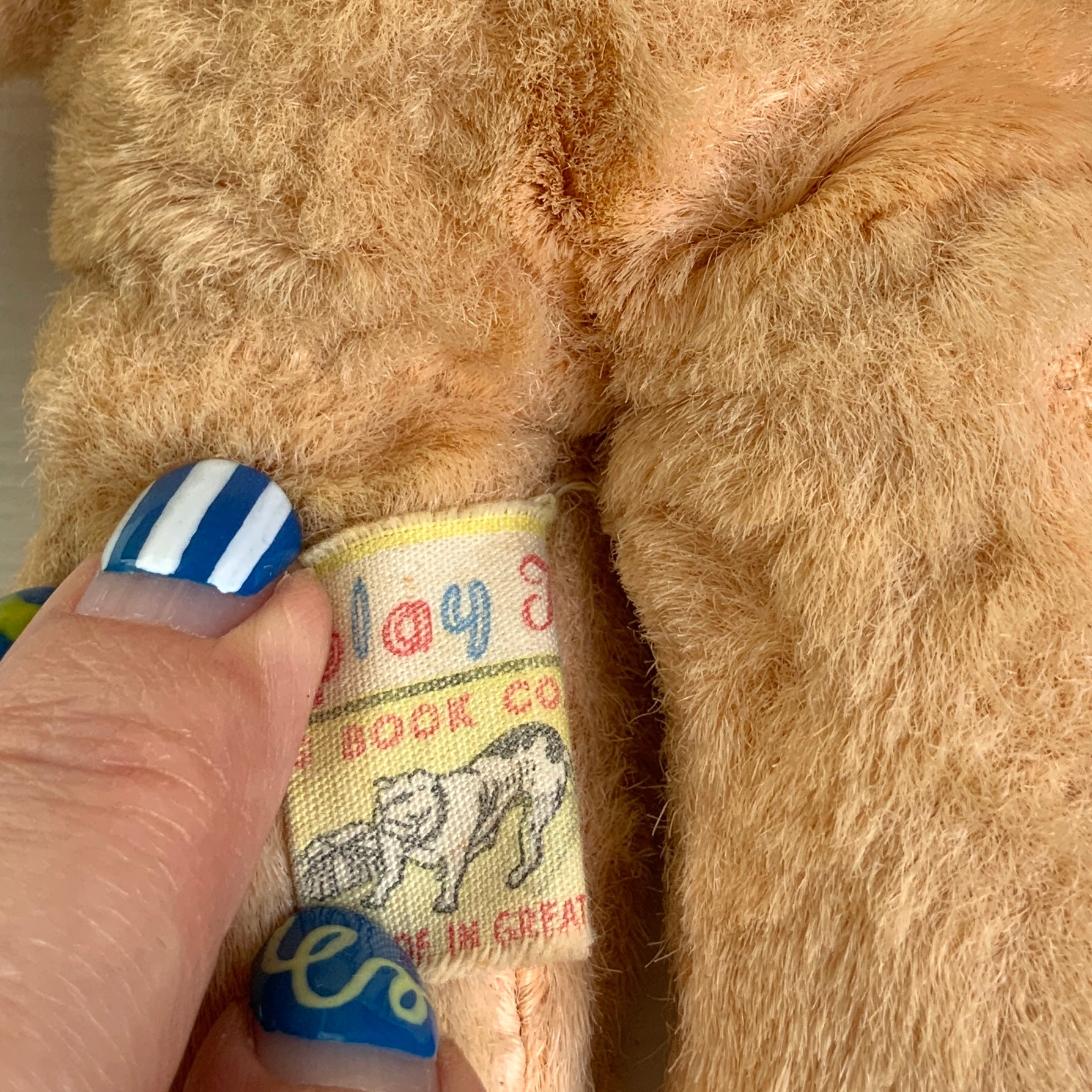 A charming small vintage teddy bear by Dean’s Rag Book Co.  ディーンズ・ラグ・ブックカンパニーの、小さなビンテージテディベア。 